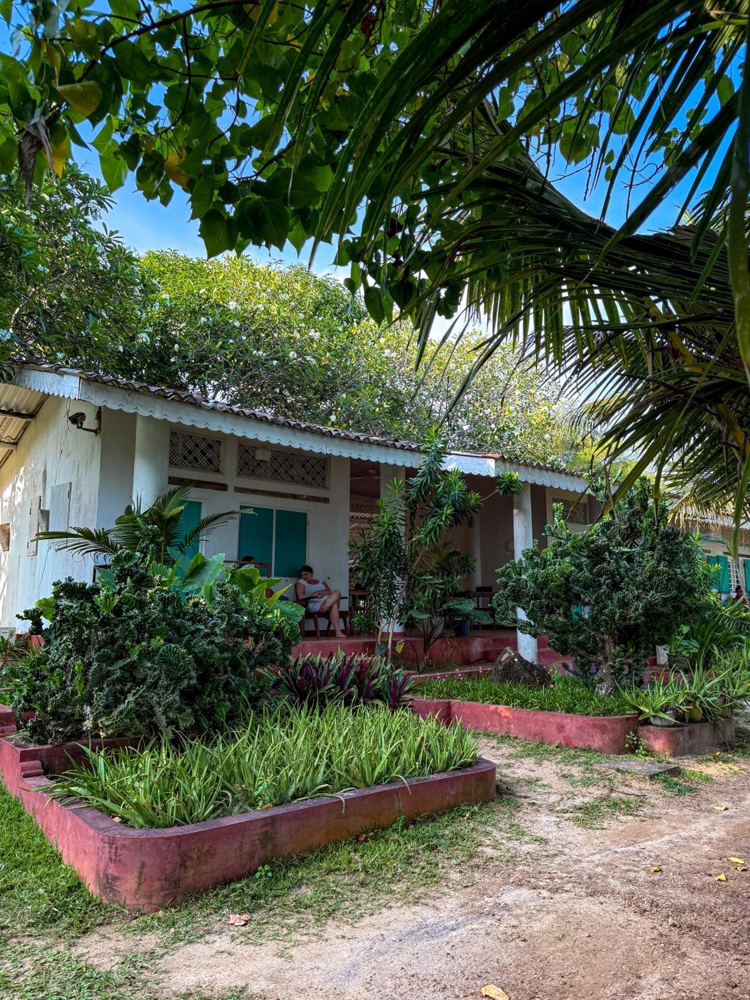 Palm Villa Mirissa Hotel&Spa Eksteriør billede